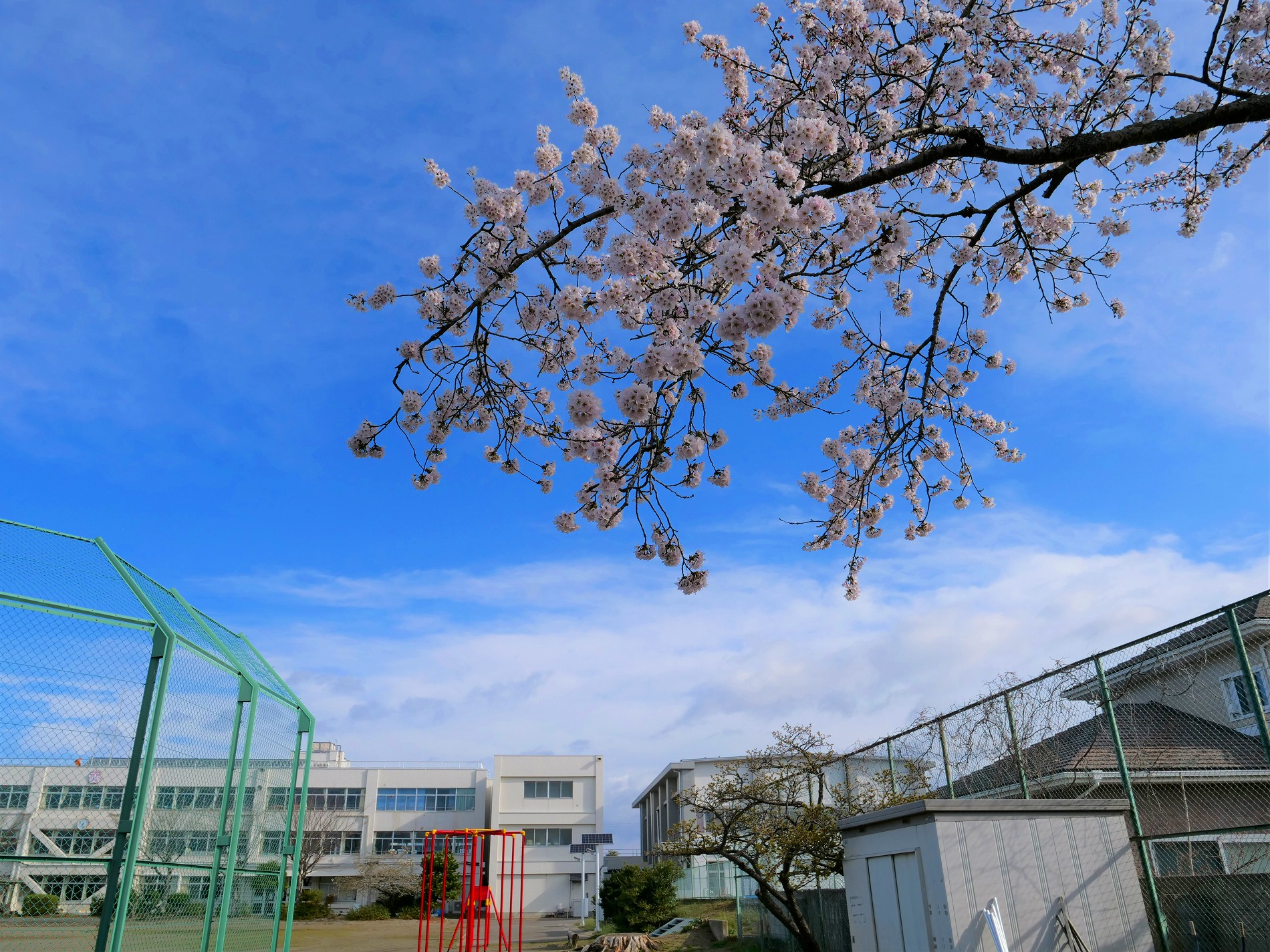 春の校舎